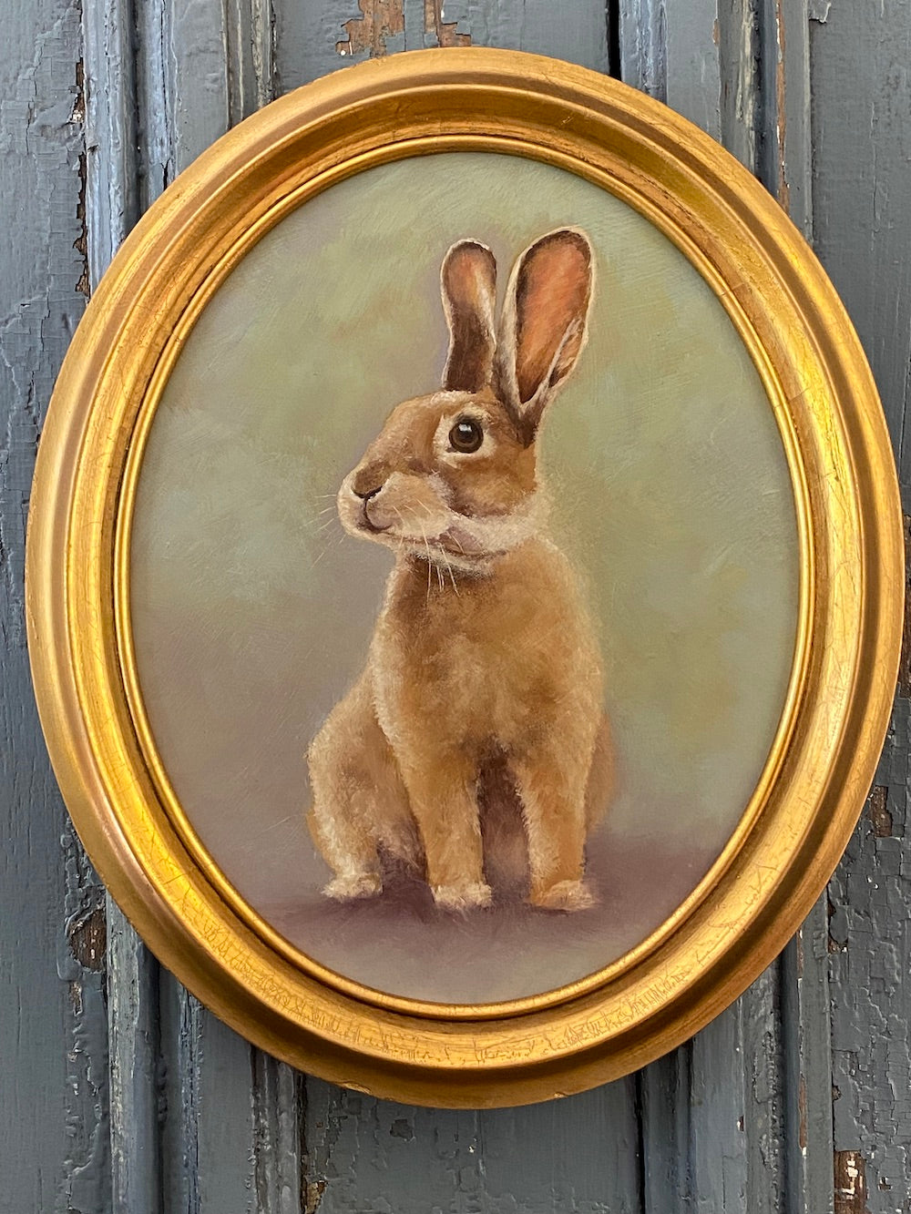 Bella Bunny
