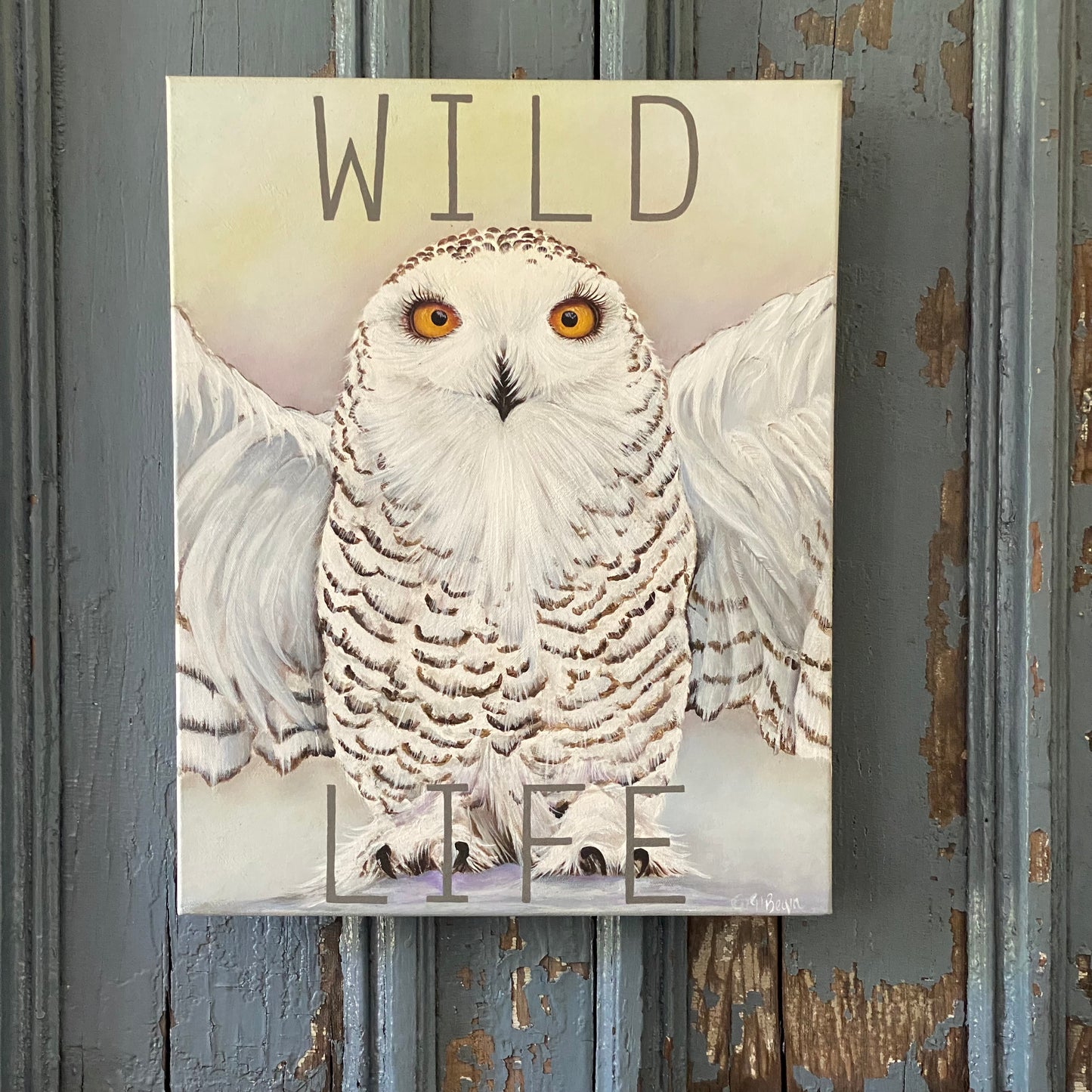 Wild Life