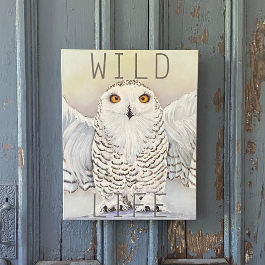 Wild Life