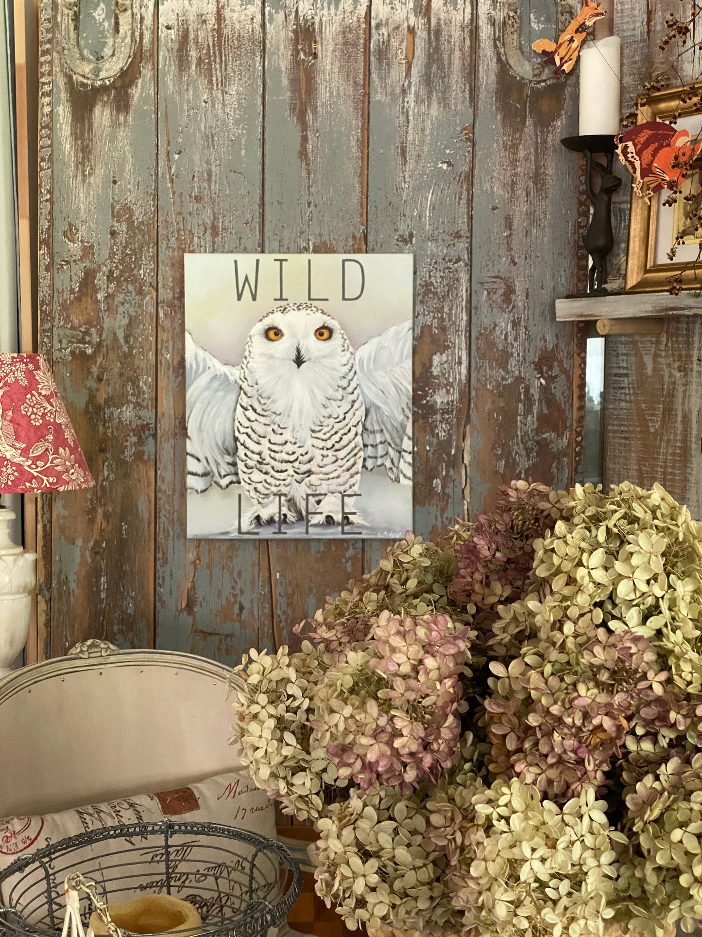 Wild Life